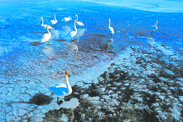 མཛོད་དགེ་བློ་རྒྱལ་ཆུ་འགོ་དེ་ངང་དཀར་དགུན་སྒྲོལ་སའི་ཞིང་ཁམས་སུ་གྱུར།