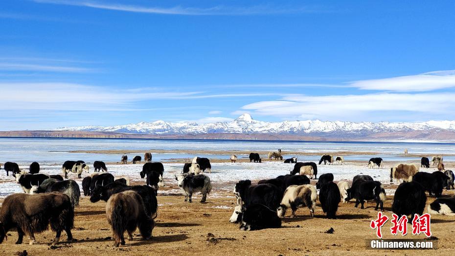 ཆེས་མཛེས་པའི་འབྲོག་ར། 