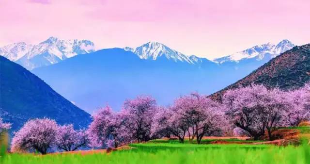 དཀར་མཛེས་ཁུལ་གྱིA4རིམ་པའི་ལྗོངས་ཁུལ་གསར་པ5རིན་མི་དགོས་པར་སྒོ་ཕྱེ་འདུག