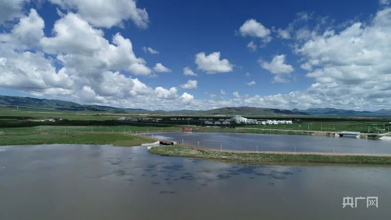 མཚོ་བྱང་། སྐྱེ་ཁམས་ཀྱི་བདག་ཉིད།