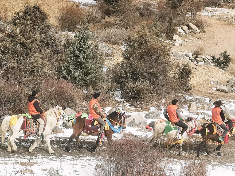 རྟ་ཐོག་སྐོར་སྲུང་རུ་ཁག་གིས་ནགས་ཚལ་དང་རྩྭ་ཐང་སྲུང་སྐྱོང་བྱས།
