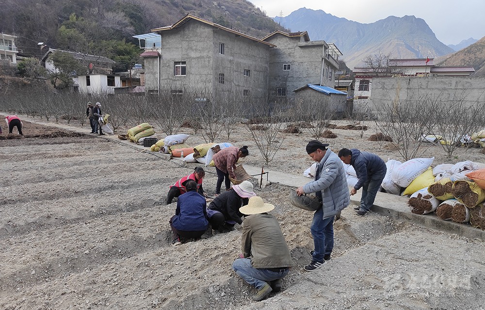 དར་མདོ་དང་ལྕགས་ཟམ་གྱིས་དཔྱིད་རྨོད་ལས་དོན་ཧུར་ཐག་སྤེལ།