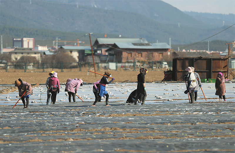 ཡུན་ནན་བདེ་ཆེན་དུ་དཔྱིད་ལས་བྲེལ་ཟིང་ཆེ་བ།