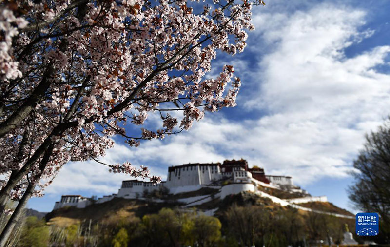 ཕོ་བྲང་པོ་ཏ་ལའི་མཐའ་འཁོར་གྱི་མེ་ཏོག་རབ་ཏུ་བཞད་པ། 