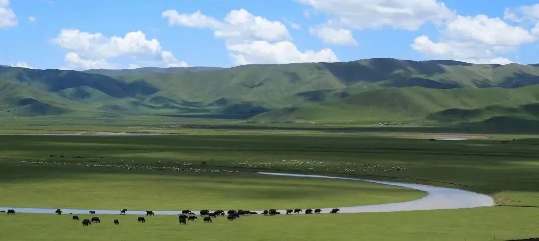 ས་གཞིར་དཔྱིད་དཔལ་རྒྱས་དུས།།   གྲོང་གསེབ་དར་རྒྱས་བྱུང་ཡོང་།།