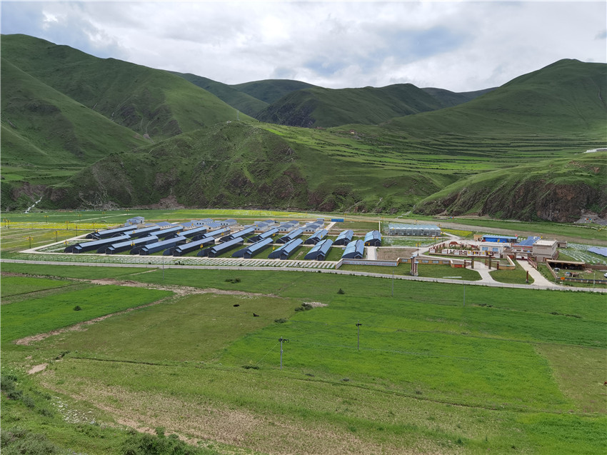 སྡེ་དགེ་རྫོང་གིས་སྔོ་ཚལ་བཏབ་ནས་དམངས་ཀྱི་ཡོང་སྒོ་འཕར་བར་རོགས་འདེགས་བྱས། 