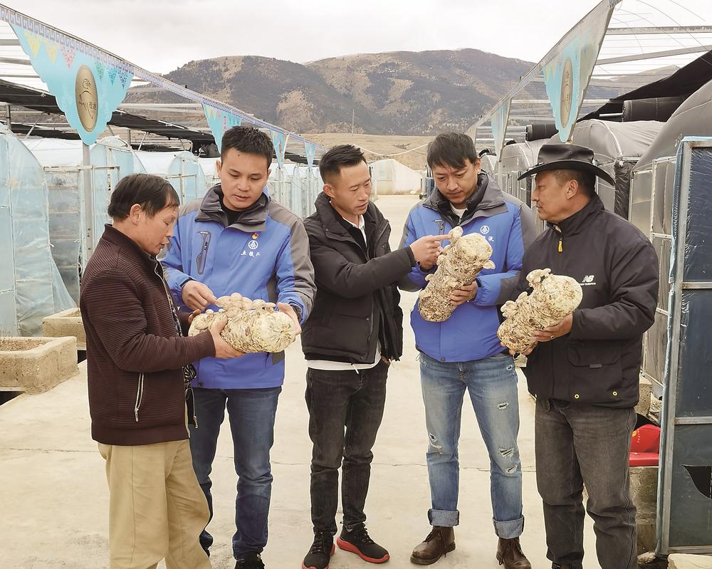 གྲོང་སྡེའི་བཅའ་སྡོད་རུ་མིས་སྔོ་ཚལ་བཙོངས་པའི་ཟིན་ཐོ།