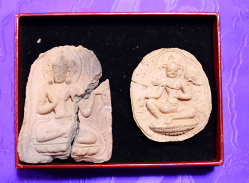 ཁོང་གིས་ཕོ་བྲང་པོ་ཏ་ལར་རིག་དངོས་176ཞལ་འདེབས་སུ་ཕུལ་བ།