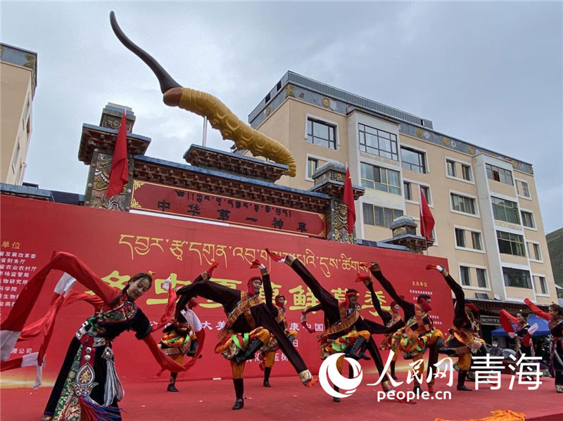 ཡུལ་ཤུལ་དུ་དབྱར་རྩྭ་དགུན་འབུའི་བྱེད་སྒོ་འདི་འདྲ་ཞིག་སྤེལ་འདུག