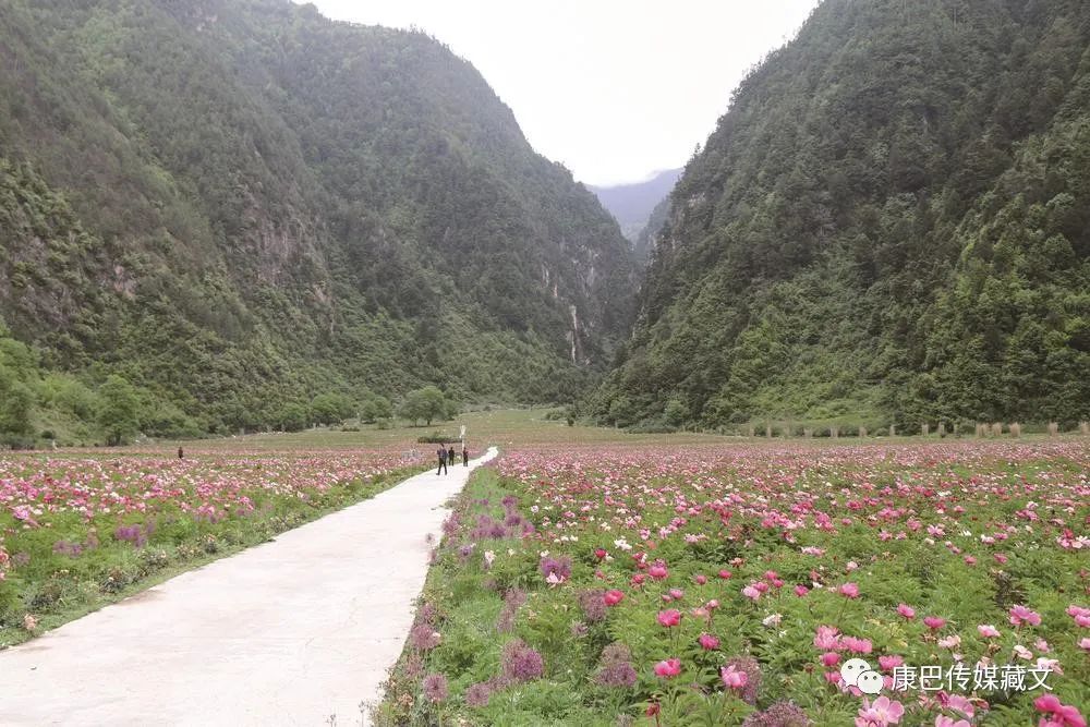 སྦས་ལུང་གི་དཔལ་ལ་འགྲན་པའི་སེར་ལམ་གྲོང་སྡེ།