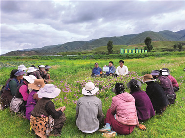   ཞིང་ཁའི་ཏང་གི་སློབ་ཁྲིད་ལ།  མང་ཚོགས་རང་མོས་ནང་དུ་ཞུགས།