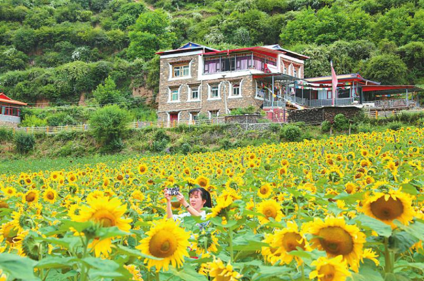  རྔ་བ་ཁུལ་གྱིས་དཔེ་སྟོན་ཁུལ་འཛུགས་སྐྲུན་བྱས་ཏེ་གྲོང་གསེབ་དར་སྤེལ་ལ་སྐུལ་འདེད་བཏང་བ།