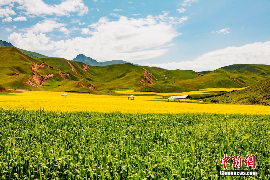 མདོ་ལའི་མཛེས་ལྗོངས། 
