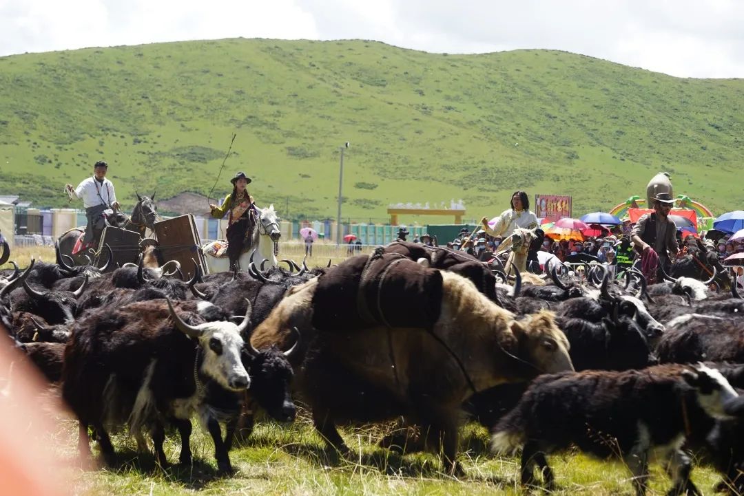 ཧུང་ཡོན་ལ་སི་ཁྲོན་ནོར་གནག་རིག་གནས་ཀྱི་ཕ་ས་ཞེས་པའི་མཚན་སྙན་བསྩལ།