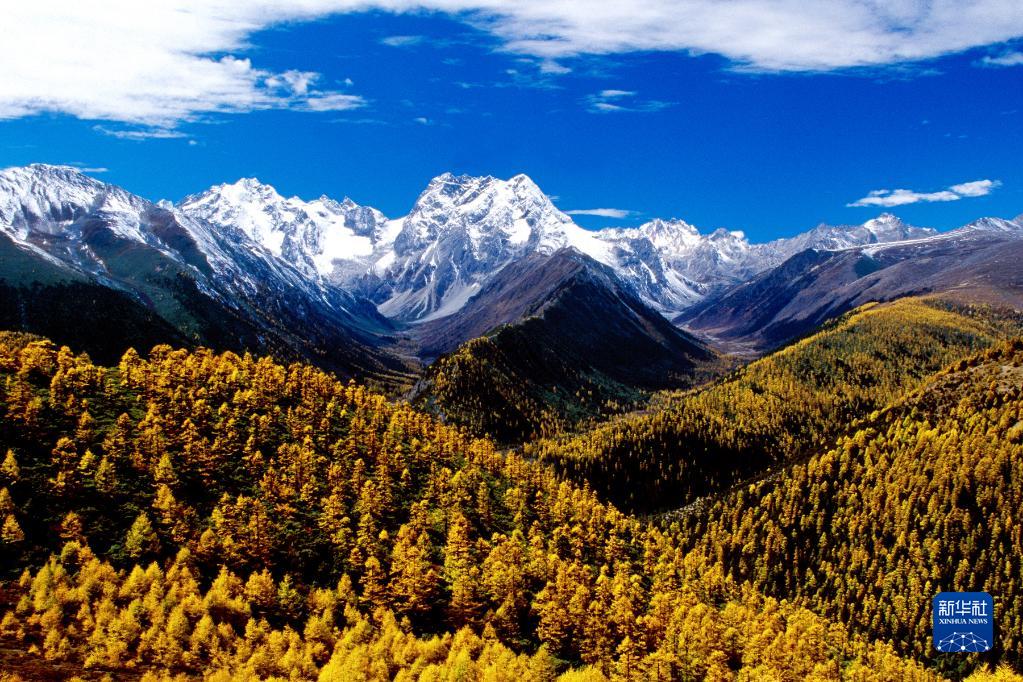 བདེ་ཆེན་གྱིས་གངས་ལྗོངས་ས་མཐོ་རུ་མི་རིགས་མཐུན་སྒྲིལ་དང་སྐྱེ་ཁམས་དཔལ་ཡོན་གྱི་ལེའུ་གསར་བ་བརྩམས།