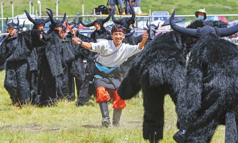 རྩྭ་ཐང་གི་གཡག་ཁ་འདུལ་བའི་འགྲན་བསྡུར།