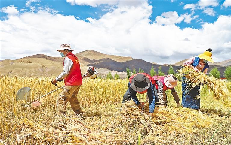 མཚོ་སྣ་རྫོང་སྦྱོར་ར་ཤང་གིས་རིམས་འགོག་དང་ཐོན་སྐྱེད་གཉིས་ཀ་མི་འཕྱུགས་པ་བྱས་པ།