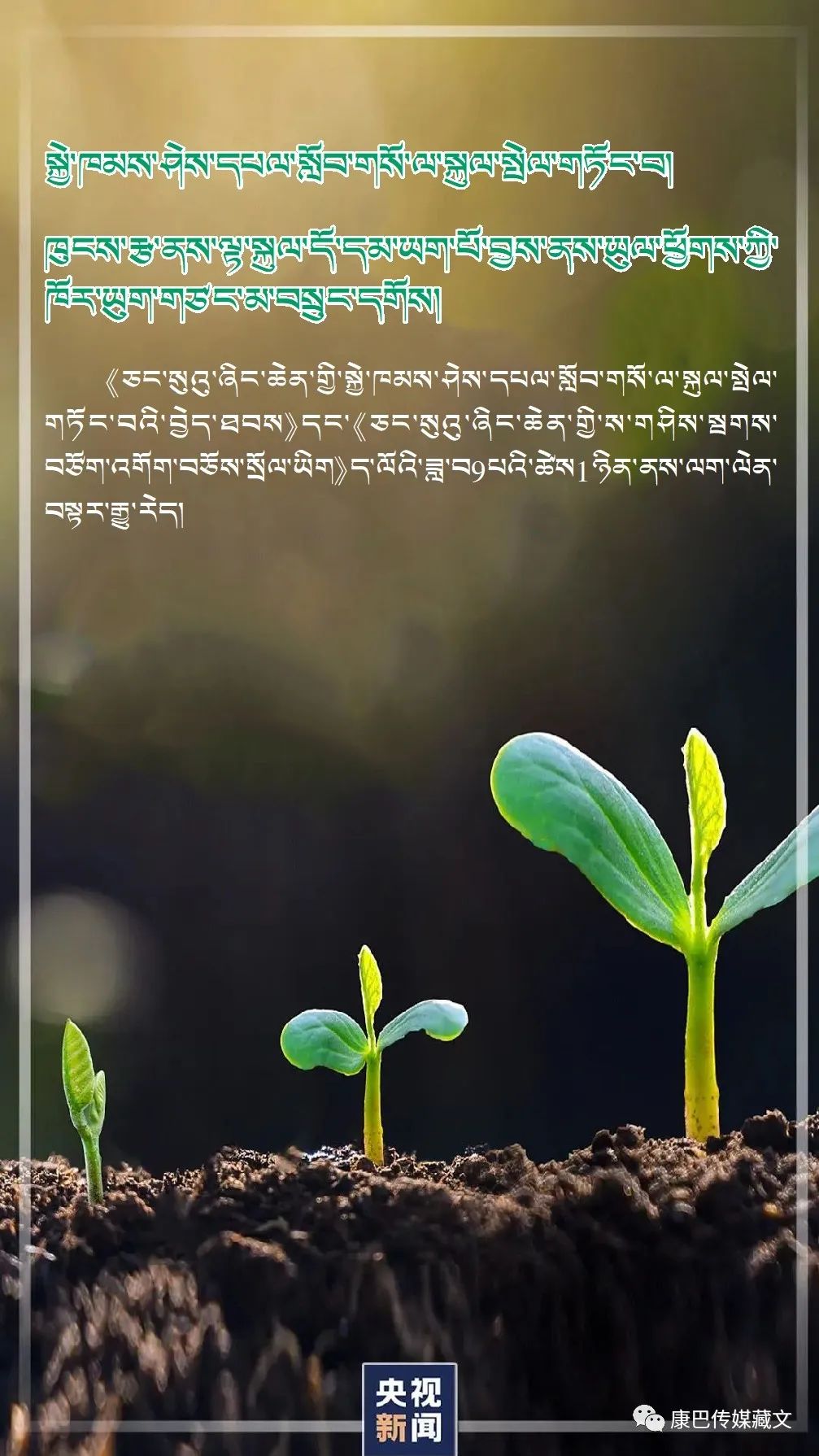 སྤྱི་ཟླ9པར་གཏན་འབེབས་གསར་པ་འདི་ཚོ་ལག་ལེན་བྱ་རྒྱུ་རེད།