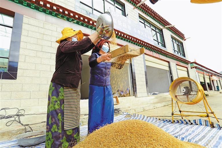 ལྷ་ས་གྲོང་ཁྱེར་མལ་གྲོ་གུང་དཀར་རྫོང་ལ་ལོ་ལེགས་བྱུང་བ།
