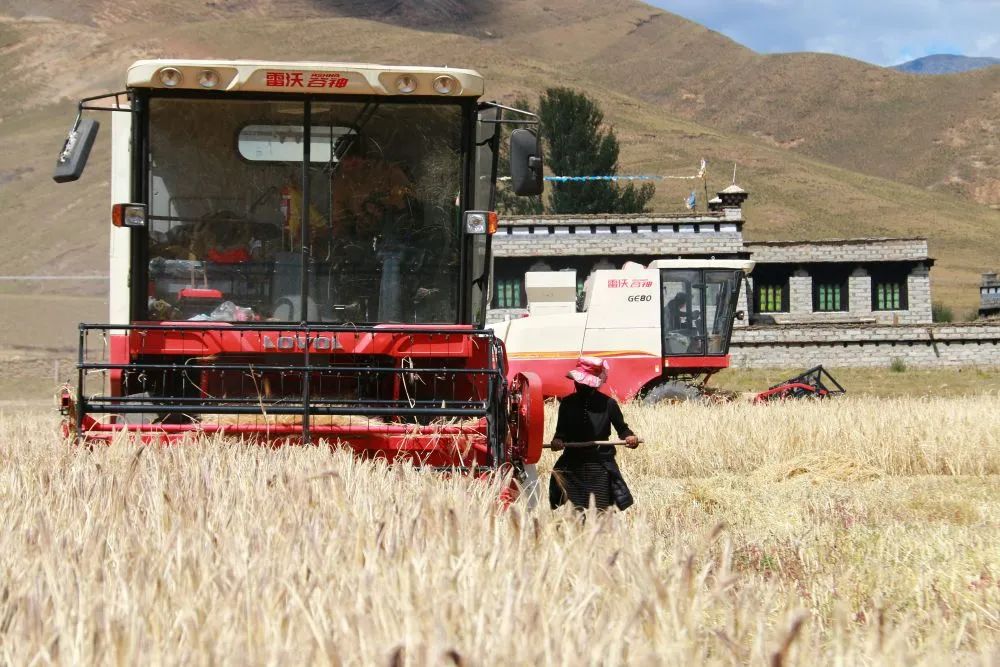ལོ་ལེགས་བྱུང་ནས་ཟིན་ཐོ་གསར་པ་བསྐྲུན།