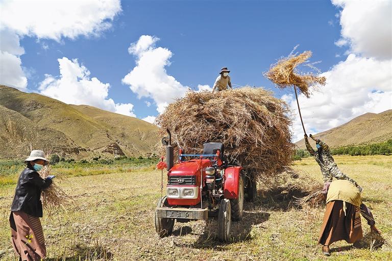 སོ་ནམ་དུས་ཚོད་ལ་དམ་འཛིན་ནན་པོ་བྱེད་པ།