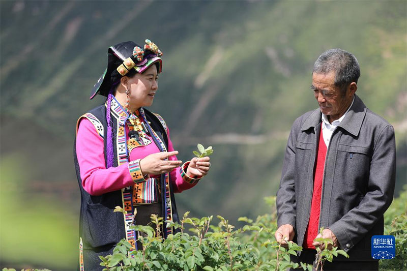 ཁོ་མོས་དབུལ་ཕོངས་རི་ཁུལ་འདི་རུ་ཕྱུག་འགྱུར་གྱི་མེ་ཏོག་བཞད་དུ་བཅུག