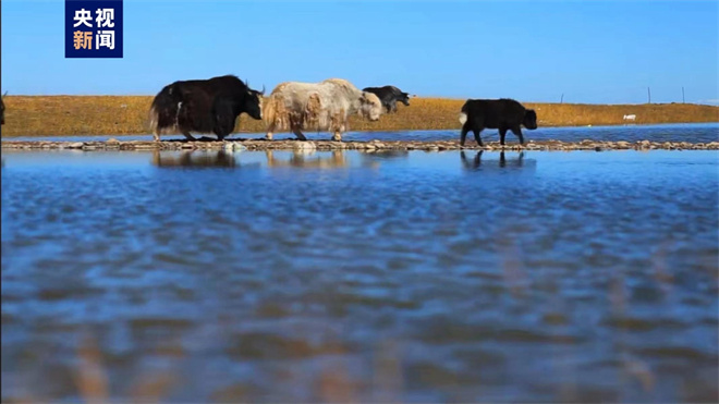 གཙང་གསུམ་འབྱུང་ཡུལ་རྒྱལ་ཁབ་སྤྱི་གླིང་ཚོད་ལྟའི་ལམ་ལུགས་ལ་གྲུབ་འབྲས་མངོན་གསལ་ཐོབ་པ།