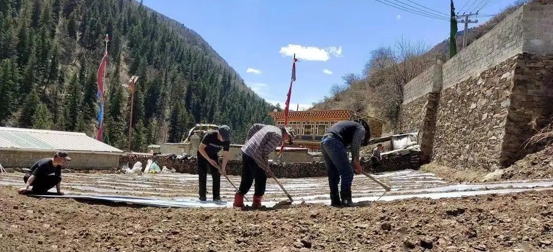 རྔ་བ་ཁུལ་གྱི་མཐོ་སྒང་སྔ་སྨིན་མ་རྨོས་ལོ་ཏོག་གི་སྔོ་གཟན་སྙོལ་བའི་ཚོད་ལྟ་ལེགས་གྲུབ་བྱུང་།