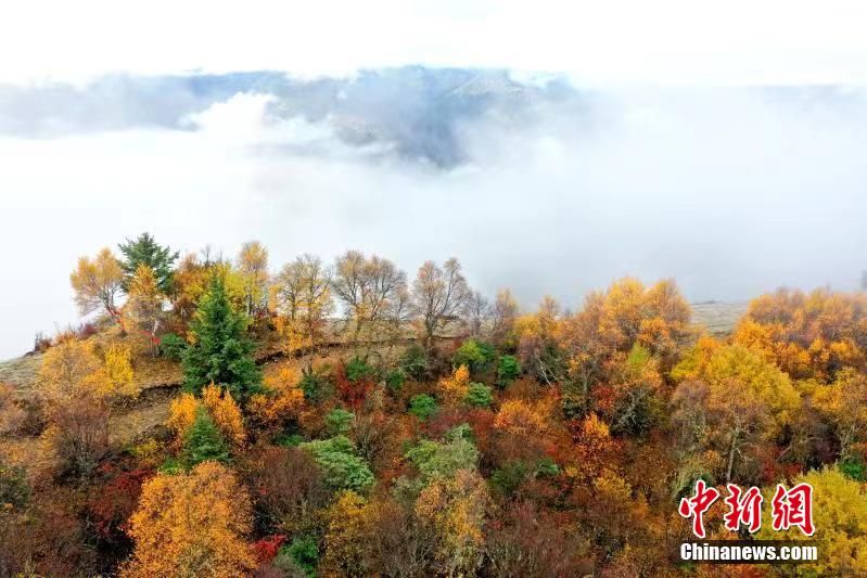 འབར་ཁམས་ཀྱི་སྟོན་ལྗོངས། 