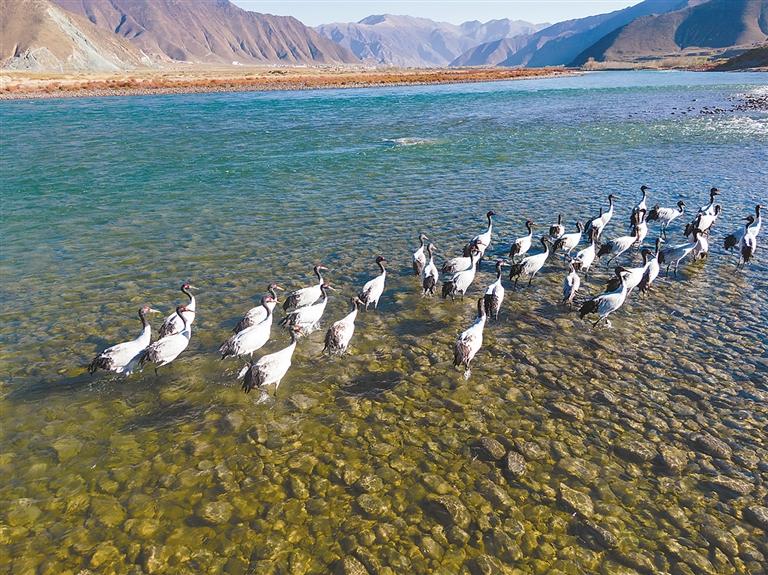 ཁྲུང་ཁྲུང་སྐེ་ནག