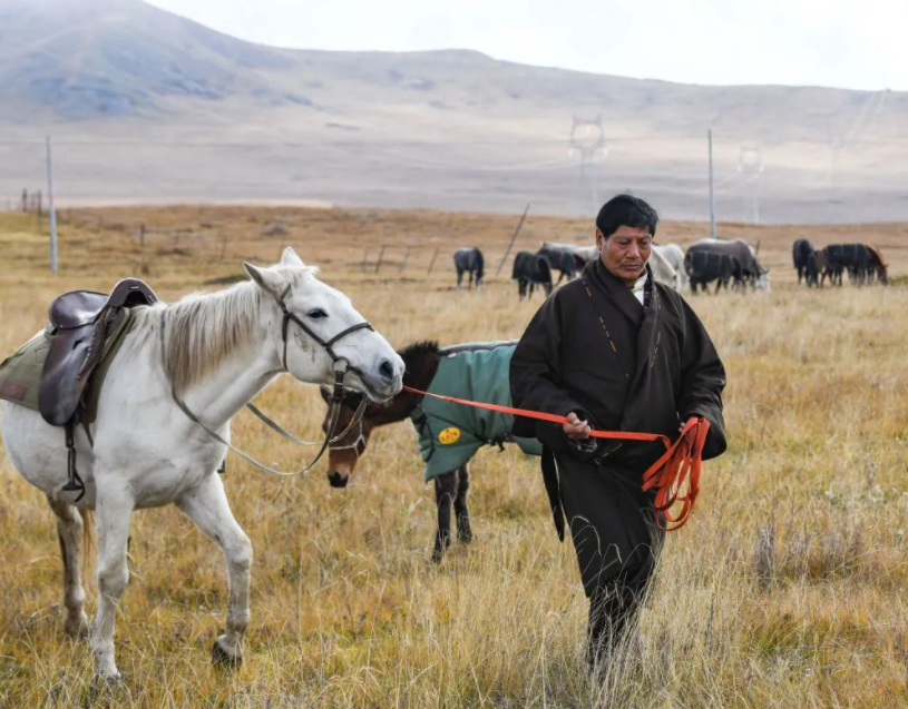 རྨ་ཁུག་རྟ་མཆོག་སྲུང་སྐྱོང་གི་ལས་ལ་གཞོལ་བའི་ཕ་བུ་གཉིས།