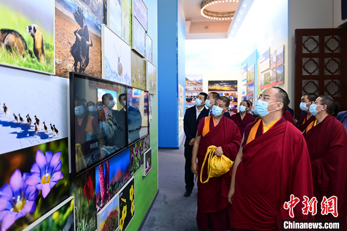 པཎ་ཆེན་རིན་པོ་ཆེ་འགྲེམས་སྟོན་འདི་ལ་གཟིགས་པར་ཕེབས།