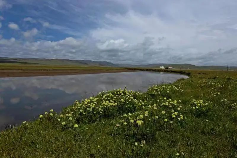 གསེར་རྟ་ཉི་ན་ཐང་འདམ་ར་རྒྱལ་སྤྱིའི་འདམ་ར་གཙོ་བོའི་གྲས་སུ་ཚུད།