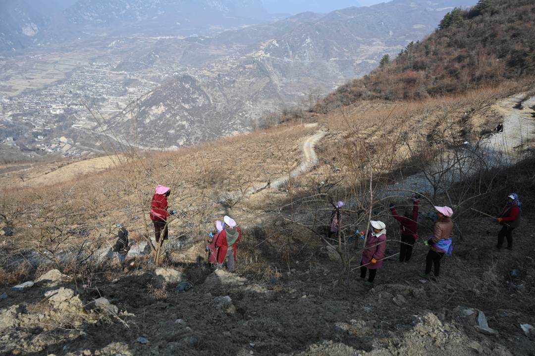 དུས་ཚོད་འགོར་འགྱངས་མི་བྱེད་པར་དཔྱིད་རྨོད་ལས་ལ་བྲེལ།