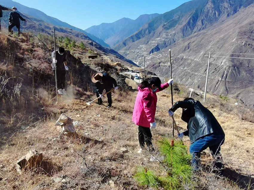 སྡེ་རོང་རྫོང་གིས་འབྲུ་ཆུའི་སྟོད་རྒྱུད་ཀྱི་སྐྱེ་ཁམས་སྲུང་ཡོལ་སྲ་བརྟན་དུ་བཏང་།