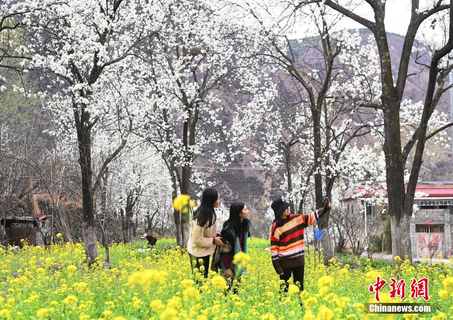 ལི་སྡོང་མེ་ཏོག་རྣམ་པར་བཞད།