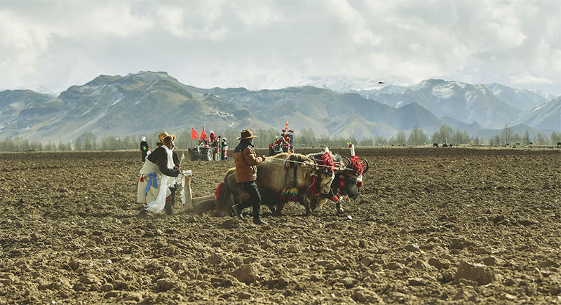“རྨོན་མཛོ་དོར་སྦྲེལ”ནས་ཞིང་ལས་འཕྲུལ་ཆས་བར་གྱི་འགྱུར་ལྡོག