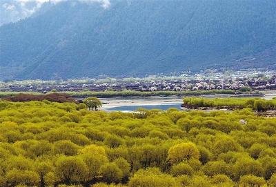 བོད་ལྗོངས་ཀྱིས“མི་ཆུ་ཞི་མཐུན”གྱི་སྐྱེ་ཁམས་མཛེས་སྡུག་བཏོད་པ།