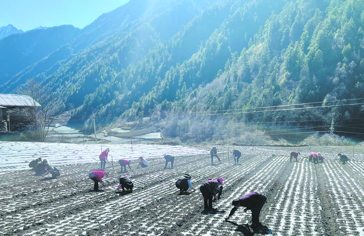 ལི་རྫོང་ཕུ་འདུ་གྲོང་རྡལ་གྱི་ཞིང་བ་རྣམས་དཔྱིད་རྨོ་འདེབས་ཀྱི་ལས་ལ་བྲེལ།