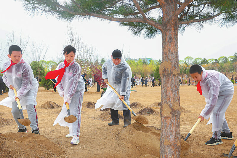 ཞི་ཅིན་ཕིང་རྒྱལ་སའི་འོས་འགན་ཤིང་འཛུགས་བྱེད་སྒོར་ཞུགས། 