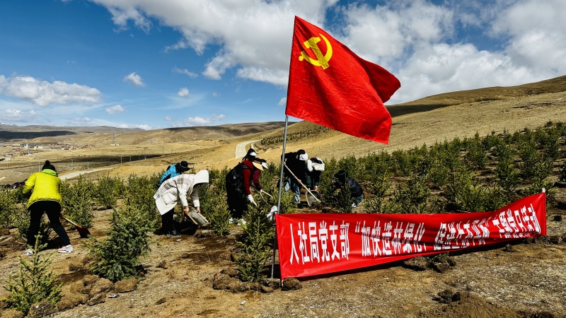 ལི་ཐང་རྫོང་གིས་སྡོང་ཕྲུག་ཁྲི་གསུམ་ལྷག་བཙུགས།