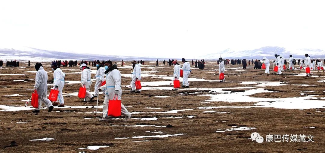 སེར་ཤུལ་རྫོང་གིས་རྩྭ་ཐང་སྲུང་སྐྱོང་ལས་དོན་སྤེལ།