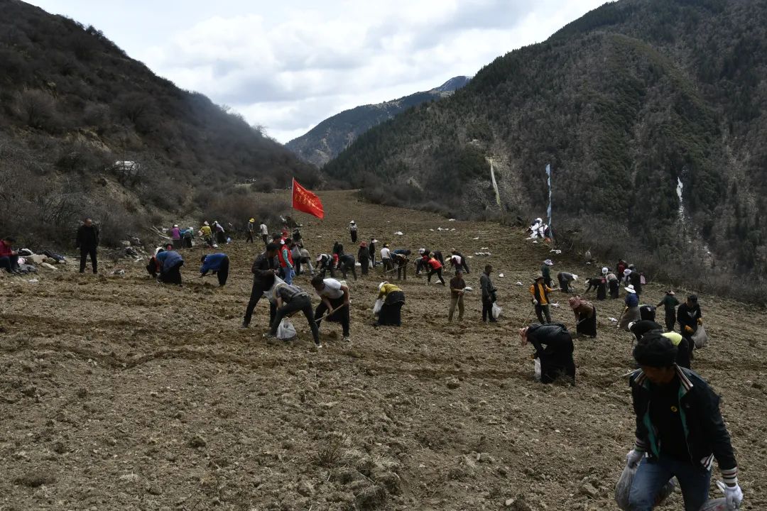 སྨན་རྩྭ་འདེབས་འཛུགས་ཀྱིས་གྲོང་གསེབ་དར་རྒྱས་ལ་སྐུལ་འདེད་བཏང་།