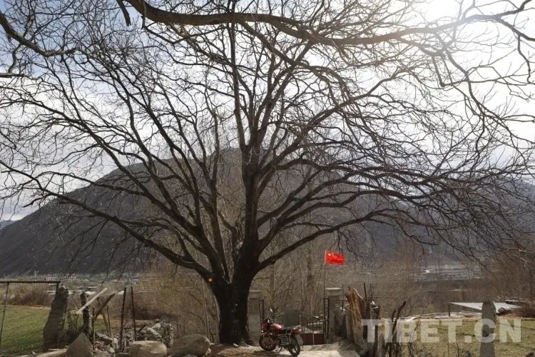 ལྷོ་ཁ་རྒྱ་ཚ་རྫོང་གིས་སྟར་ཀར་བརྟེན་ནས་འབབ་འཕར་ཕྱུག་འགྱུར་བྱུང་བ།