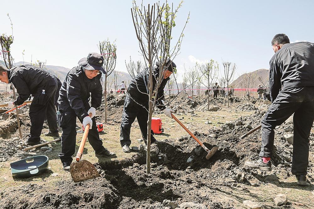དཔྱིད་ཀྱི་དུས་ཚིགས་བཟང་པོར་སྡོང་འཛུགས་དུས་སུ་སླེབས།