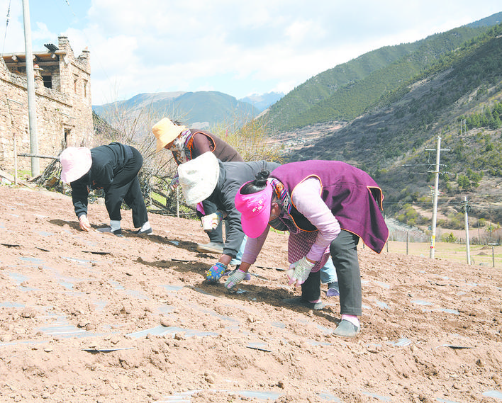 སྔོ་ཚོད་འདེབས་འཛུགས་ལ་བརྟེན་ནས་ཡོང་སྒོ་འཕར་སྣོན་བྱུང་བ།