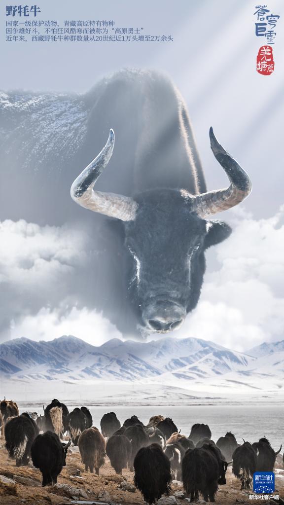 ཨ་སྔོན་དབྱིངས་ཀྱི་རྣམ་ཤེས་རྒོད་པོ་སྟེ་བྱང་ཐང་གི་ལེའུ།