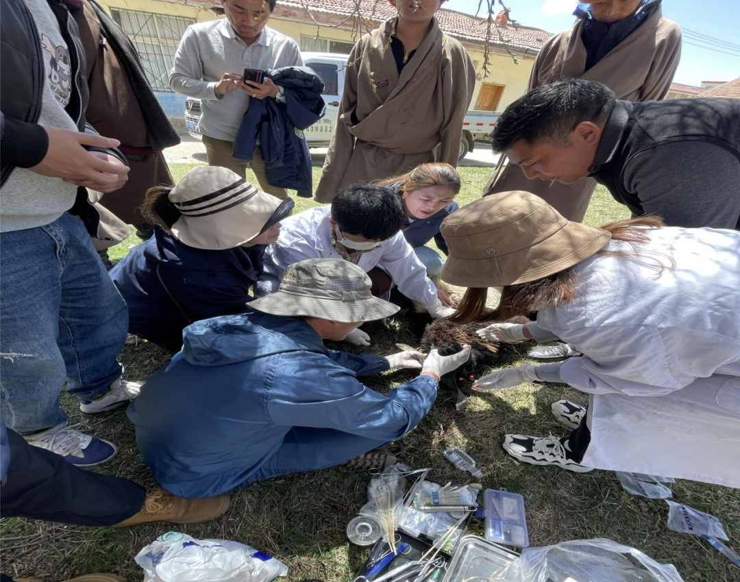 སྨན་དང་ལག་རྩལ་བསྐྱལ་ཏེ་དམངས་ཀྱི་དཀའ་ངལ་བསལ།
