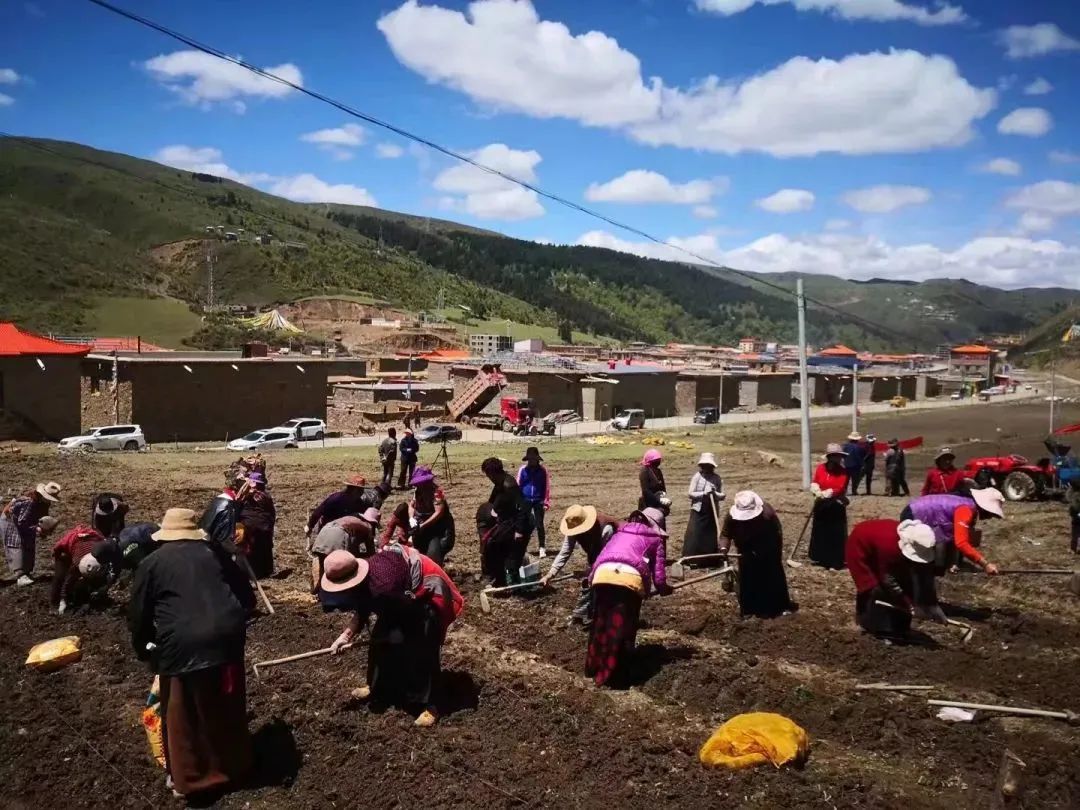 མཉམ་སྡེབ་དཔལ་འབྱོར་སྟོབས་ཆེ་བ།། གྲོང་གསེབ་འཕེལ་བའི་གཞི་མ་ཡིན།།