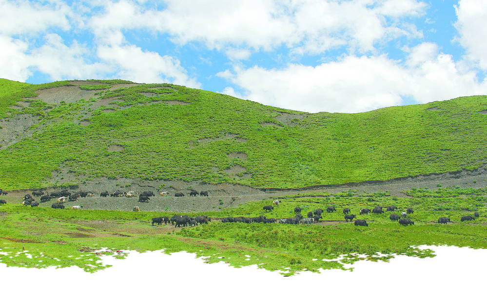 ཡུས་ཧྲུའུ་ཁུལ་ནང་ཆེན་རྫོང་གིས་ལྗང་མདོག་གི་སྐྱེ་ཁམས་ཞིང་ཕྱུགས་ལས་ཀྱི་མིང་བྱང་གསར་བ་བཏོད་པ།
